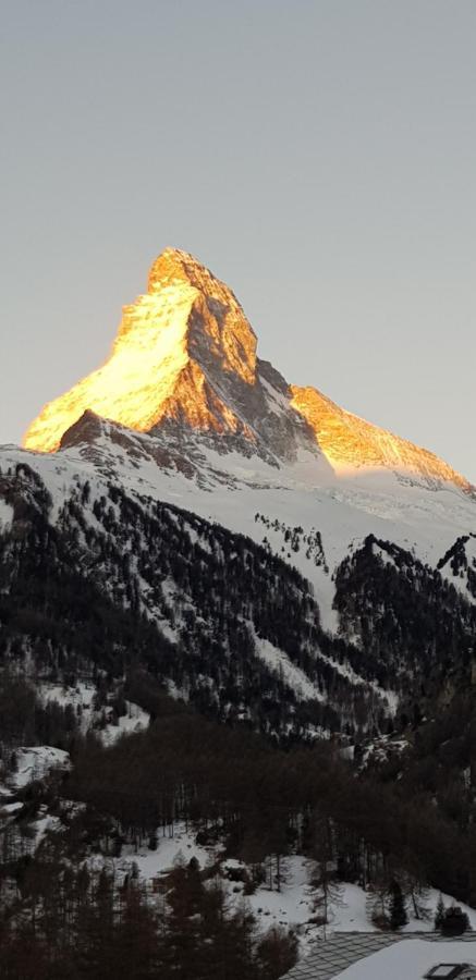 Haus Les Melezes C Apartment Zermatt Ngoại thất bức ảnh